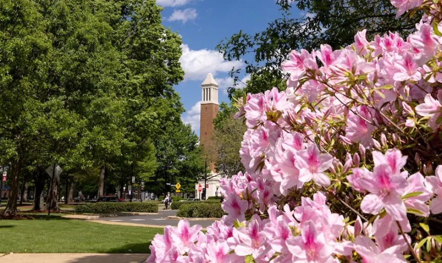 Spring 2024 at UA